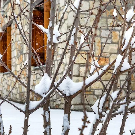 Kerassia Mountain Casa di campagna Arachova